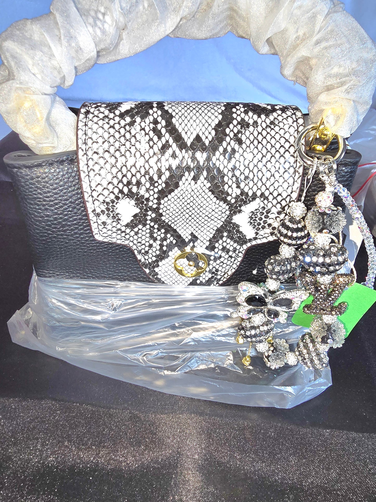 Designer Handbag/Crossbody