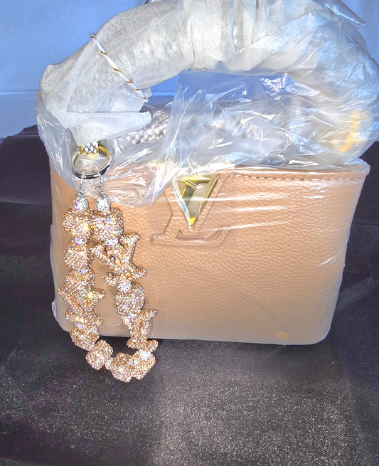 Designer Handbag/Crossbody