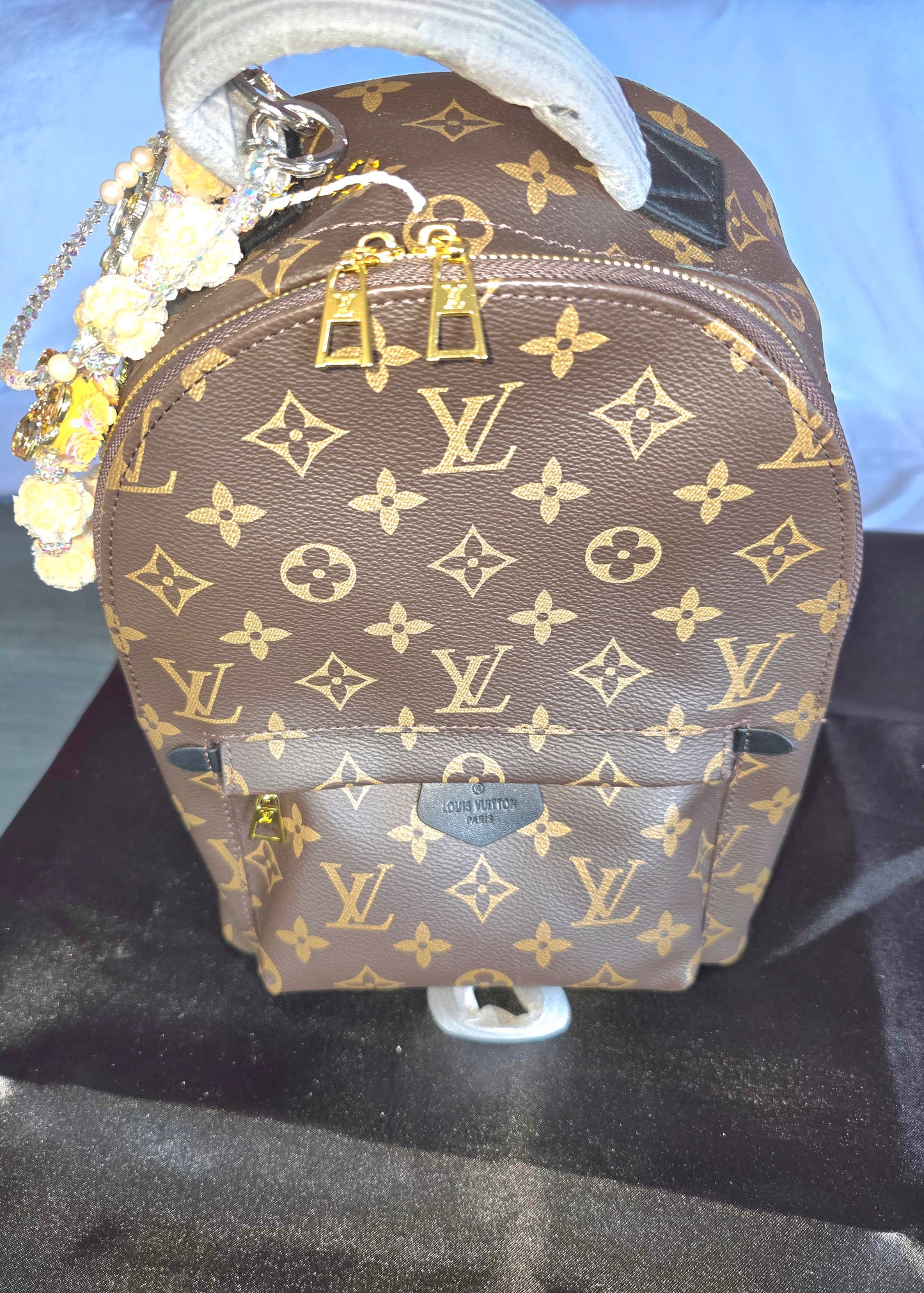 Designer Backpack