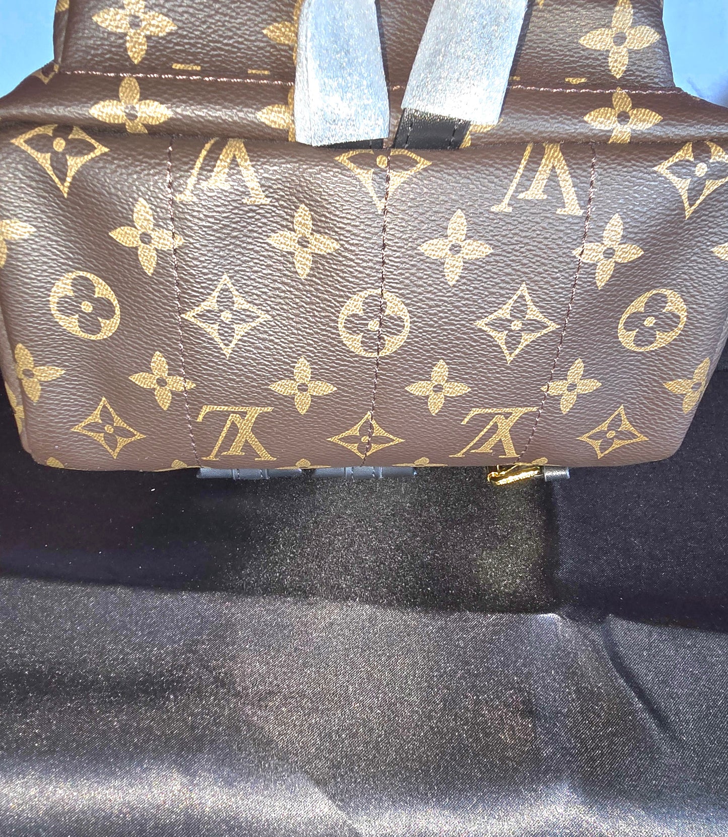 Designer Backpack