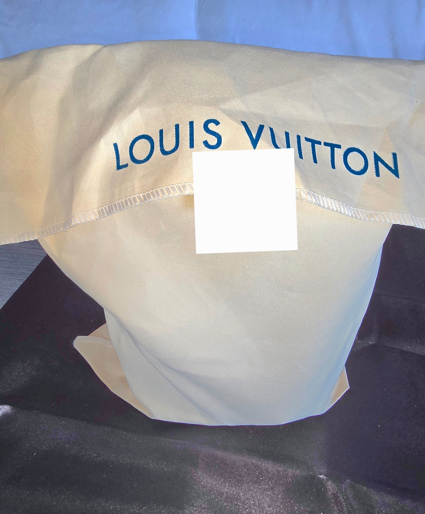 Designer Backpack