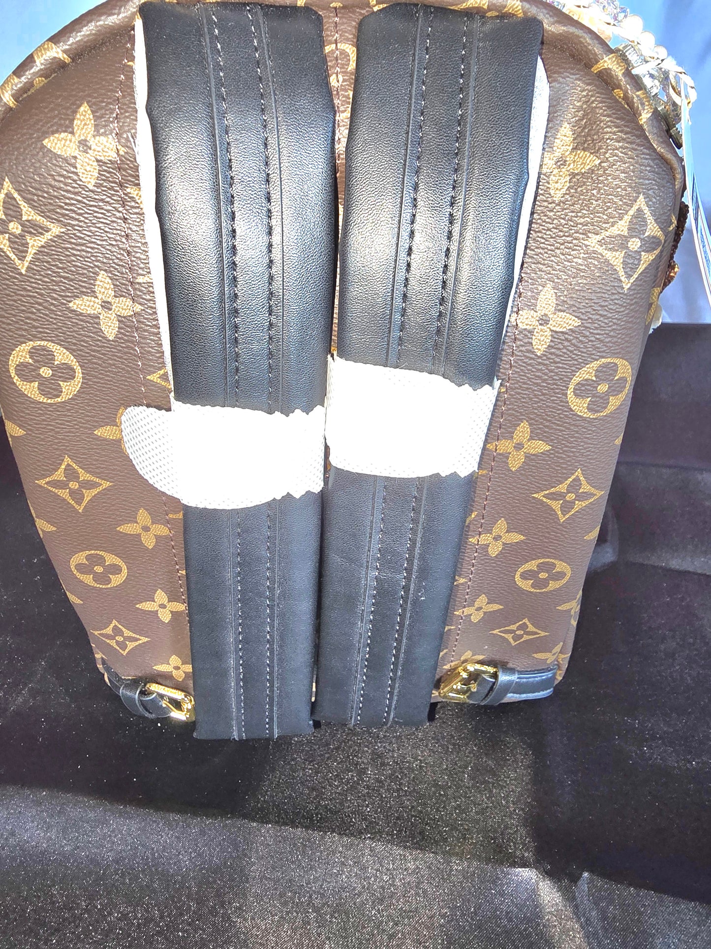 Designer Backpack