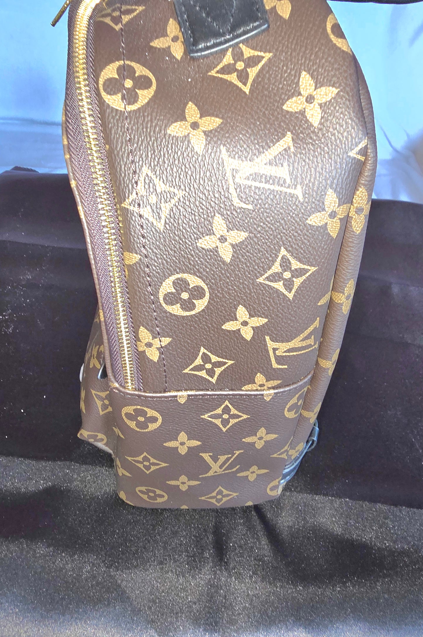 Designer Backpack
